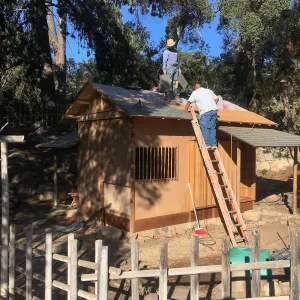 Teahouse & Garden Improvements 2018