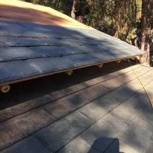 Teahouse & Garden Improvements 2018