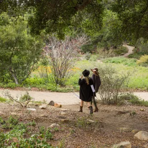 2018 Santa Barbara Beer Garden Event, Meadow View