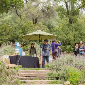 2018 Santa Barbara Beer Garden Event, Santa Barbara Brewing Co., Meadow View