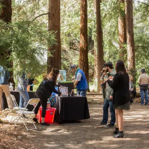 2018 Santa Barbara Beer Garden Event, M Special Brewing Co., Redwood Section