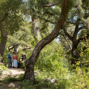 2018 Santa Barbara Beer Garden Event
