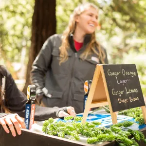 2018 Santa Barbara Beer Garden Event, M Special Brewing Co.