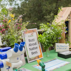 2018 Santa Barbara Beer Garden Event