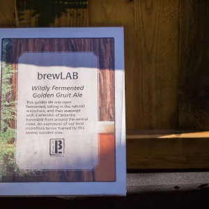 2018 Santa Barbara Beer Garden Event, brewLAB