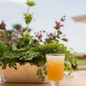 2018 Santa Barbara Beer Garden Event Brew Brunch