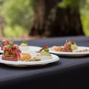 2018 Santa Barbara Beer Garden Event