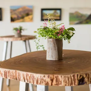 2018 Santa Barbara Beer Garden Event Brew Brunch, Pritzlaff Conservation Center