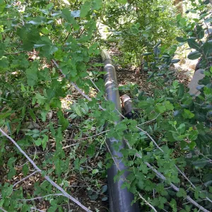 Installation of runoff collection pipe connection from Pritzlaff Conservation Center to well tank