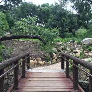 Campbell Bridge