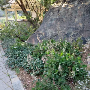 Garden entrance