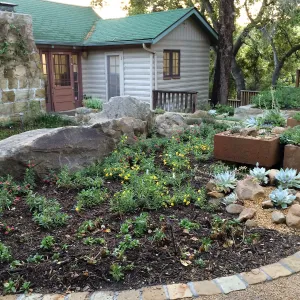 Water Wise Home Garden shortly after planting