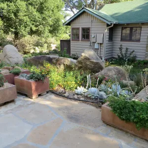 Water Wise Home Garden after renovation