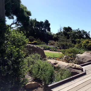  Water Wise Home Garden