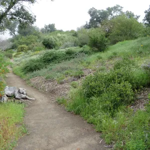 lower Porter Trail