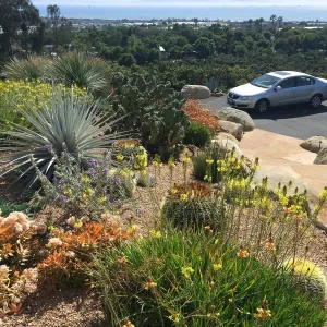 Victor Schaff garden