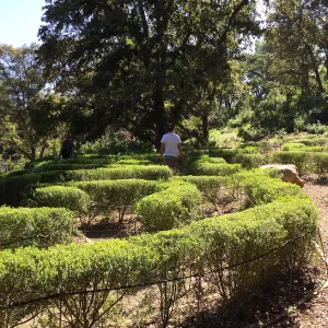 Centennial Maze