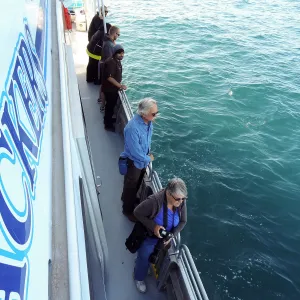 SBBG Staff field trip to Santa Cruz Island, Steve Junak, dolphin viewing