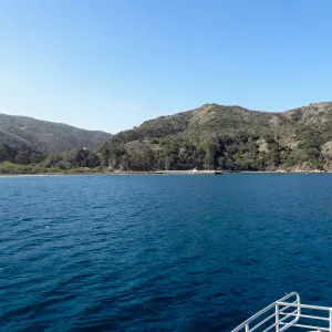 SBBG Staff field trip to Santa Cruz Island, Prisoners Harbor