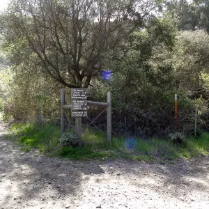 SBBG Staff field trip to Santa Cruz Island, 