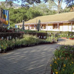 Courtyard with plants, Spring Plant Sale 2014