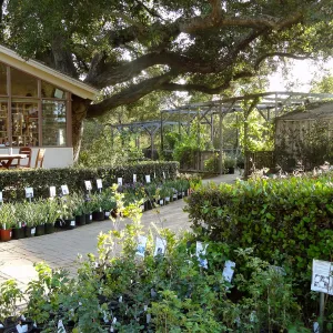 Spring Plant Sale 2014