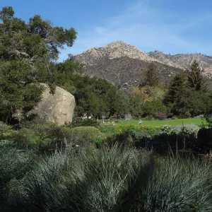 Meadow at SBBG