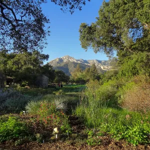 Lower Meadow with view to Arlington Peak