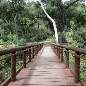Campbell Bridge, 5 years post Jesusita Fire