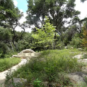 Campbell Bench, 5 years post Jesusita Fire