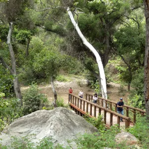 Campbell Bridge, 5 years post Jesusita Fire