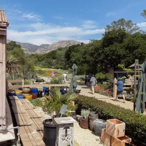 Garden Growers Nursery, view to Meadow