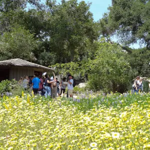 visitors, Blaksley Boulder, spring wildflower Meadow 2014, SBBG