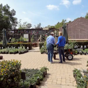 visitors shopping, Spring Plant Sale 2014