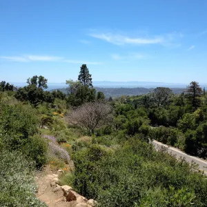 Porter Trail