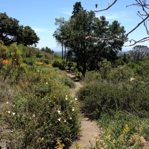 Porter Trail