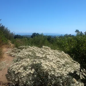 Porter Trail