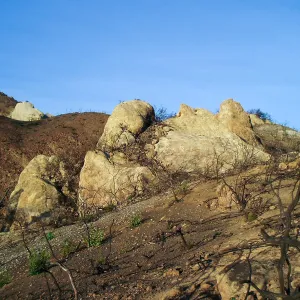 Winchester Canyon After the Gap Fire