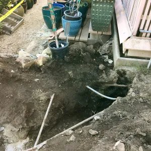 Work on new gas line in Courtyard, northeast corner of Lath House