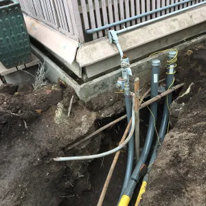 Work on new gas line in Courtyard, northeast corner of Lath House
