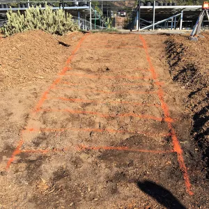Marking the stairway from the Nursery to Canyard