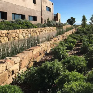 Pritzlaff Conservation Center west side, Island View Garden, Equisetum rill