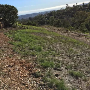 West slope below Pritzlaff Conservation Center