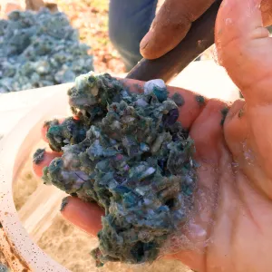 Testing the Hydroseeder