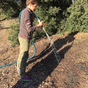 Testing the Hydroseeder, Alena Donati