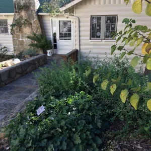 Home Demonstration Garden