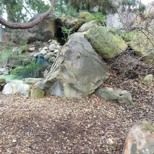 Teahouse garden