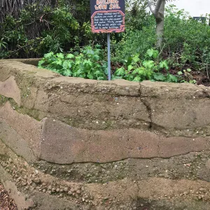 Urban Nature Garden at the Natural History Museum of Los Angeles