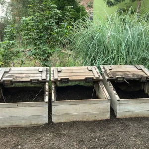 Urban Nature Garden at the Natural History Museum of Los Angeles