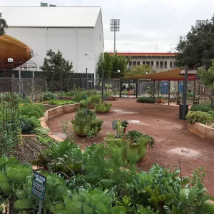 Urban Nature Garden at the Natural History Museum of Los Angeles